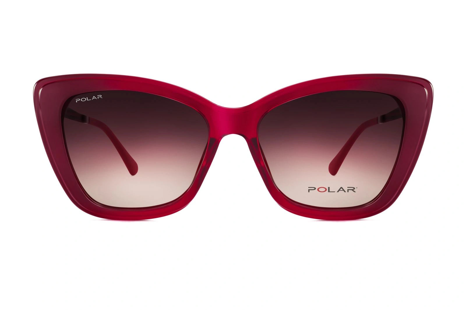 Clip for Polar 498 - 422