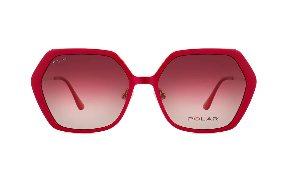 Clip for Polar 519 - 22