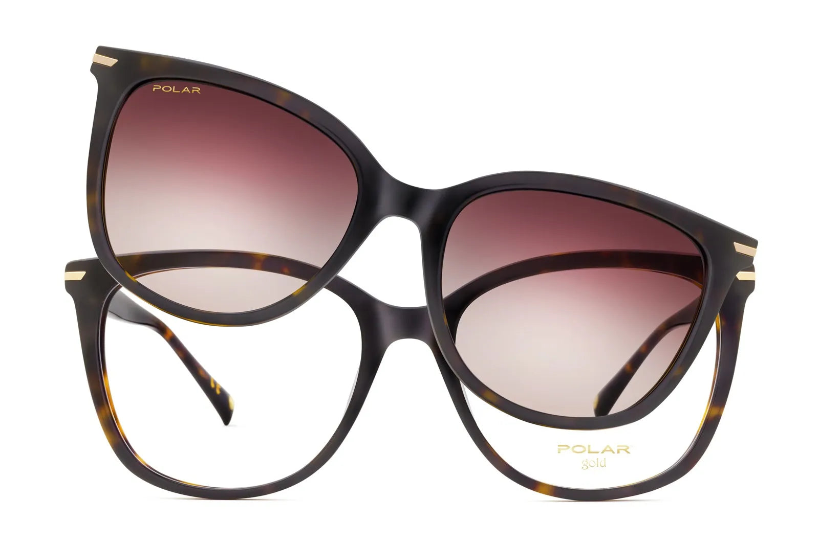 Gold Cassiopea Clip-on - 428