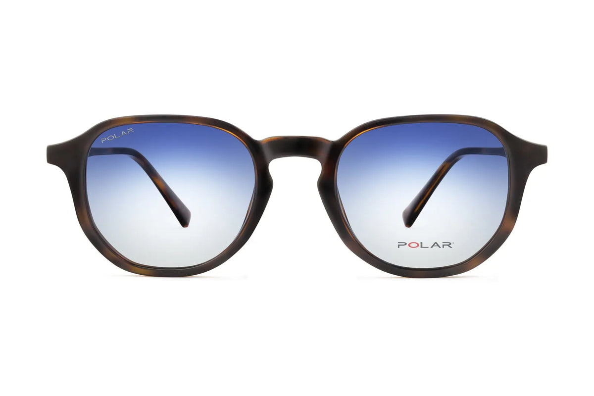 Aeneas Clip-on - 428