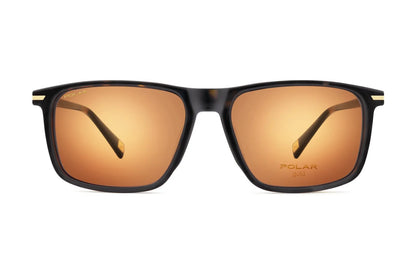 Gold Clip-on 7031 - 428/R