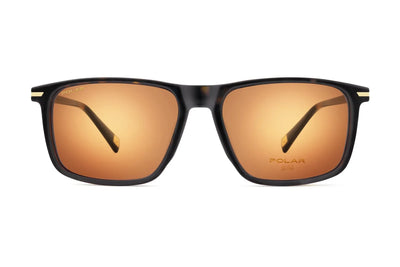 Gold Clip-on 7031 - 428/R