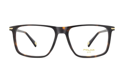 Gold Clip-on 7031 - 428/R