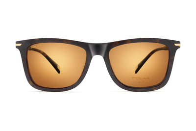 Gold Clip-on 7064 - 428