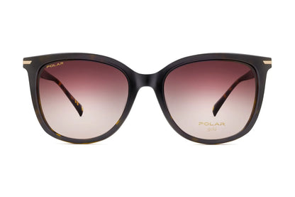 Gold Cassiopea Clip-on - 428
