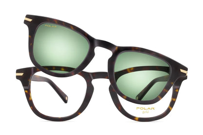 Gold Pegaso Clip-on - 428