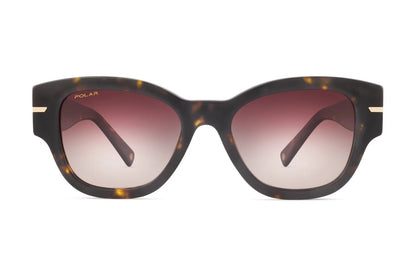 Gold Calypso - 429